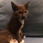 Pitstop 73 Diners by Kench